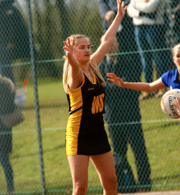 screenshot_2022-06-01_at_19.04.11