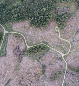 Aerial view of ruined vegetation