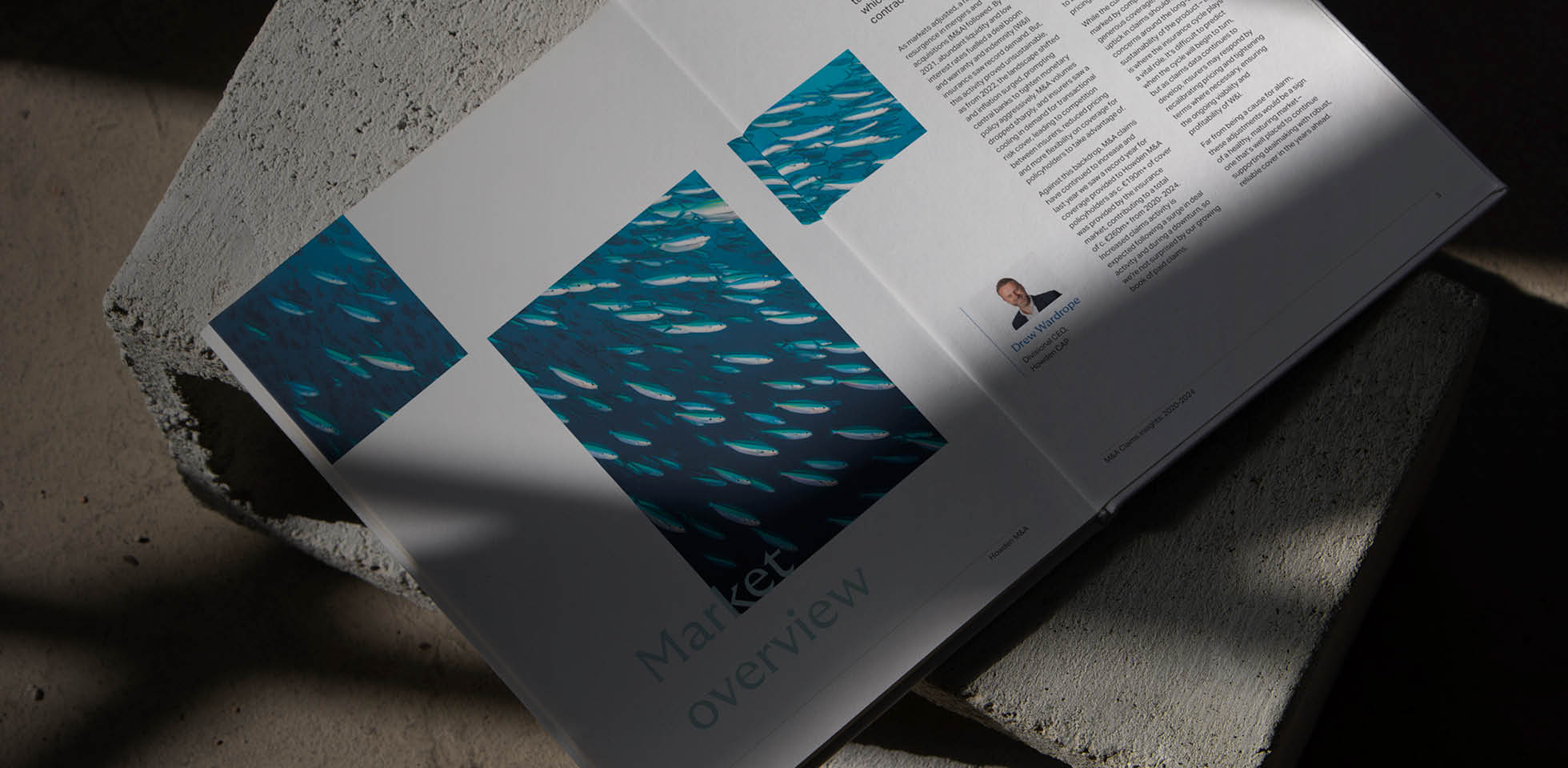 M&A Claims insights 2020-2024