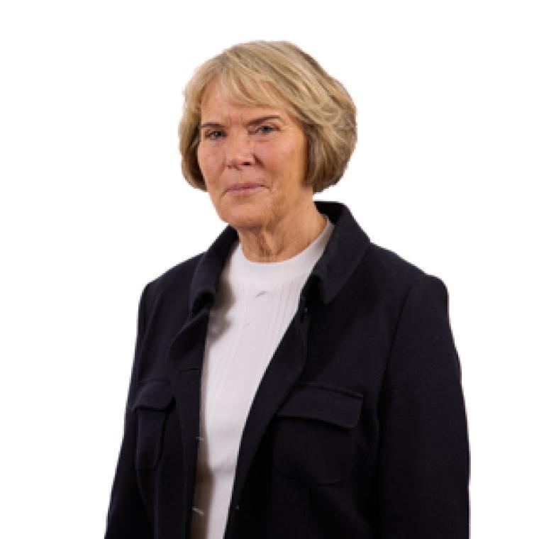 Photo of Susanne Noer