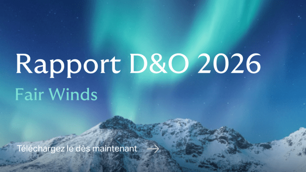 D&O D&O