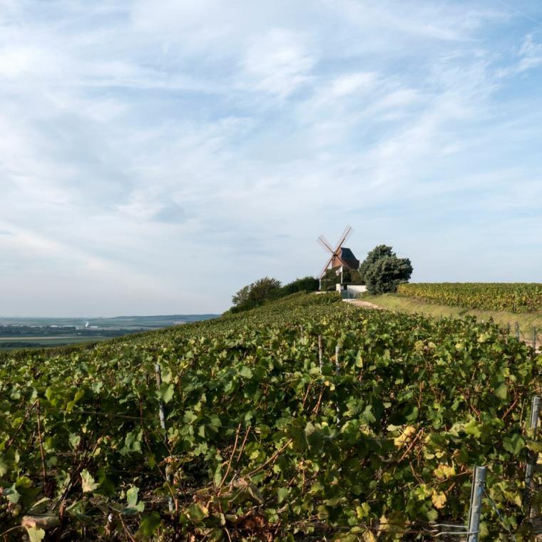 Photo of Bureau de Châlons en Champagne