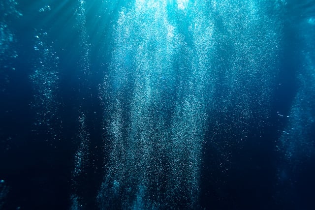 Underwater image to depict Captive Services team at Howden