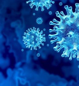 virus cells blue background coronavirus - howden updates