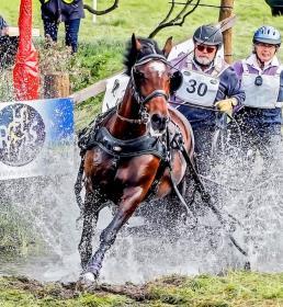 Howden Britishcarriage driving members racing horses