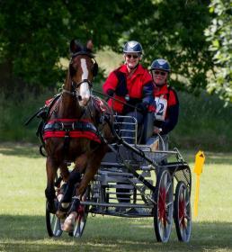 Horses racing with cart Howden Insurance britishcarriage driving