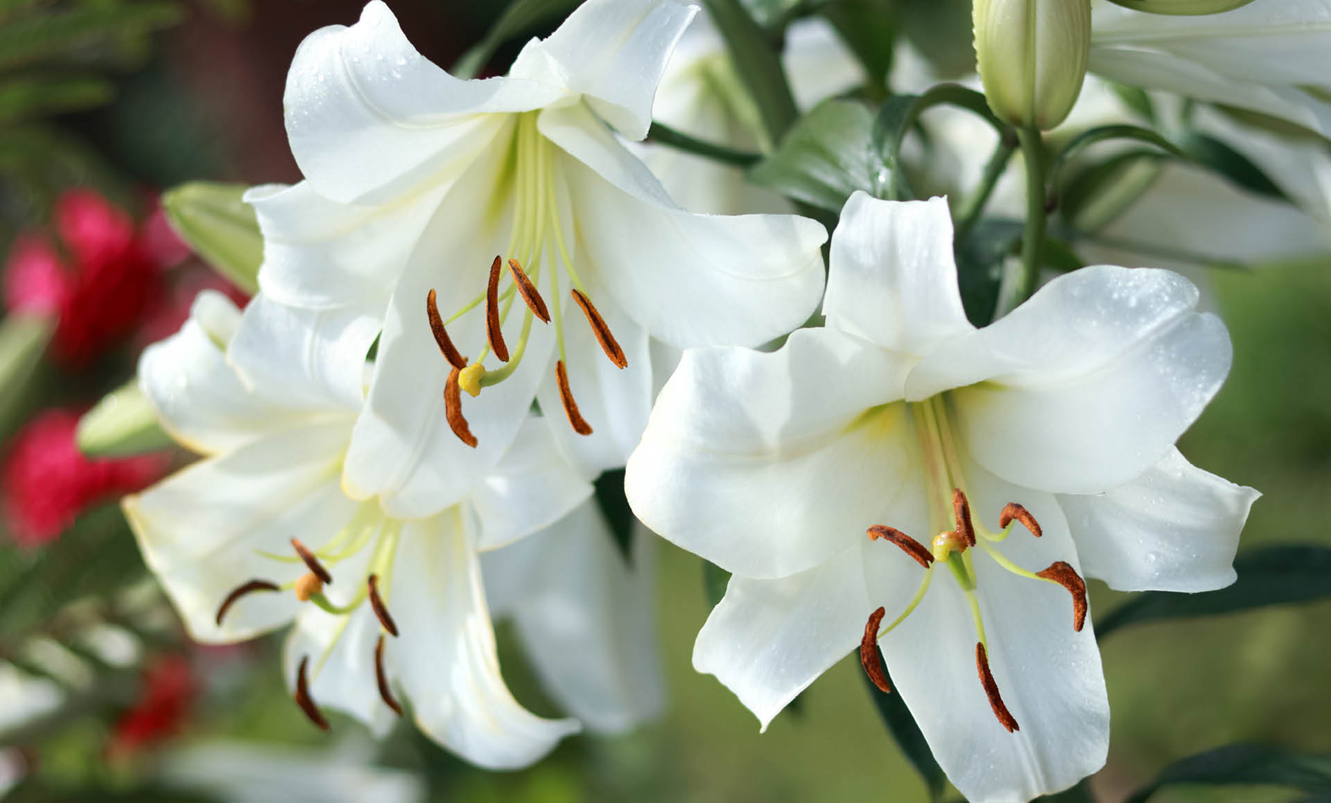 funeral_directors_insurance_funeral_home_insurance