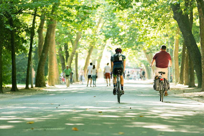 People riding bicycles