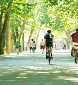 People riding bicycles