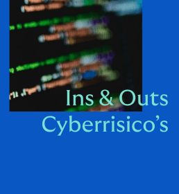cover_cyberrisicos
