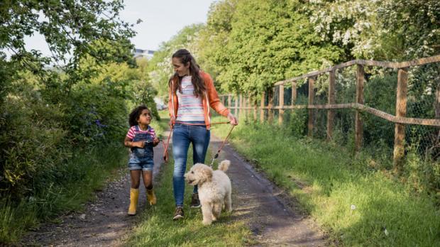 Aansprakelijkheidsverzekering