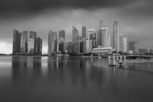 Directors' and officers' insurance - can you weather the storm?