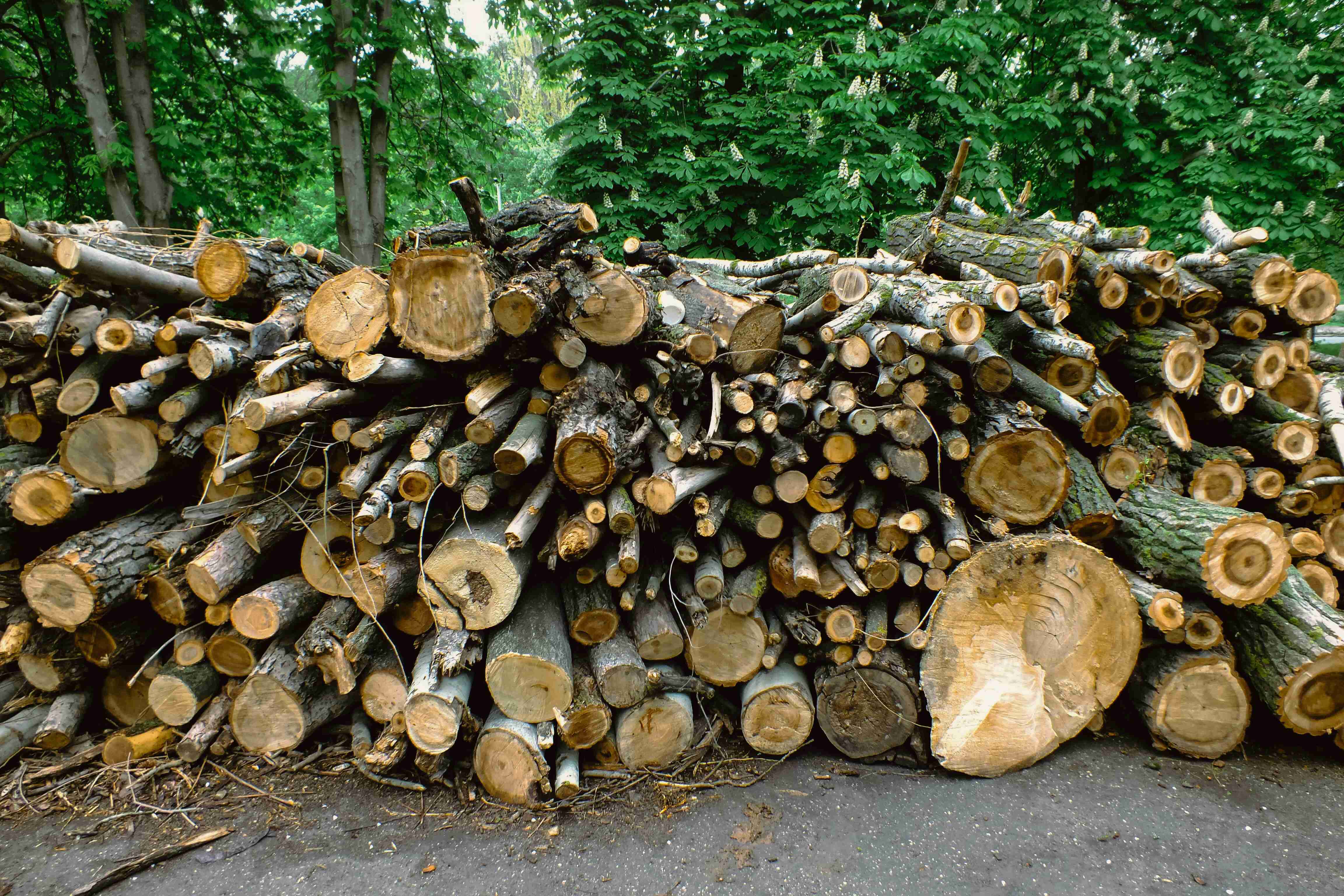 Natural Resources