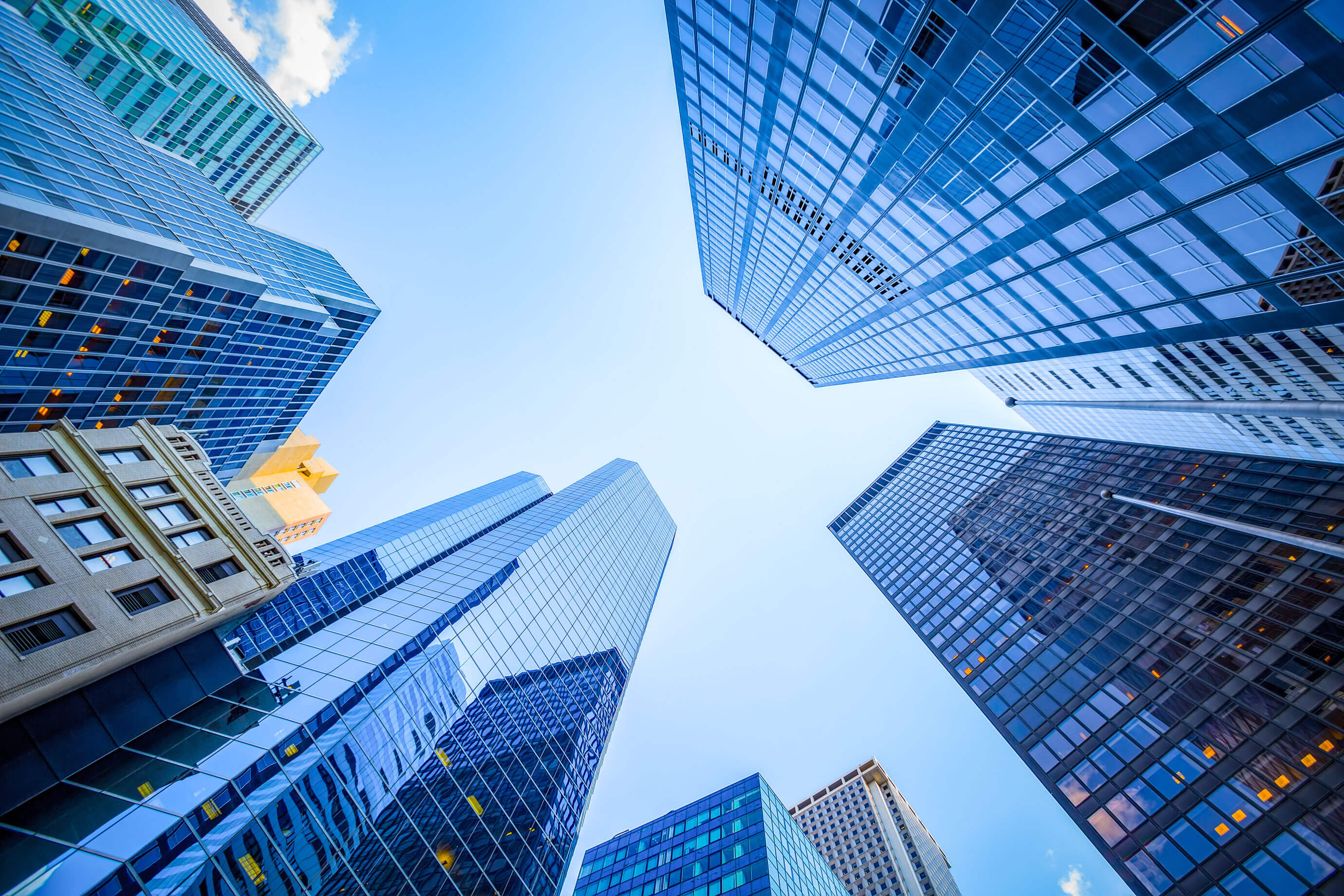 Professional Services Industry