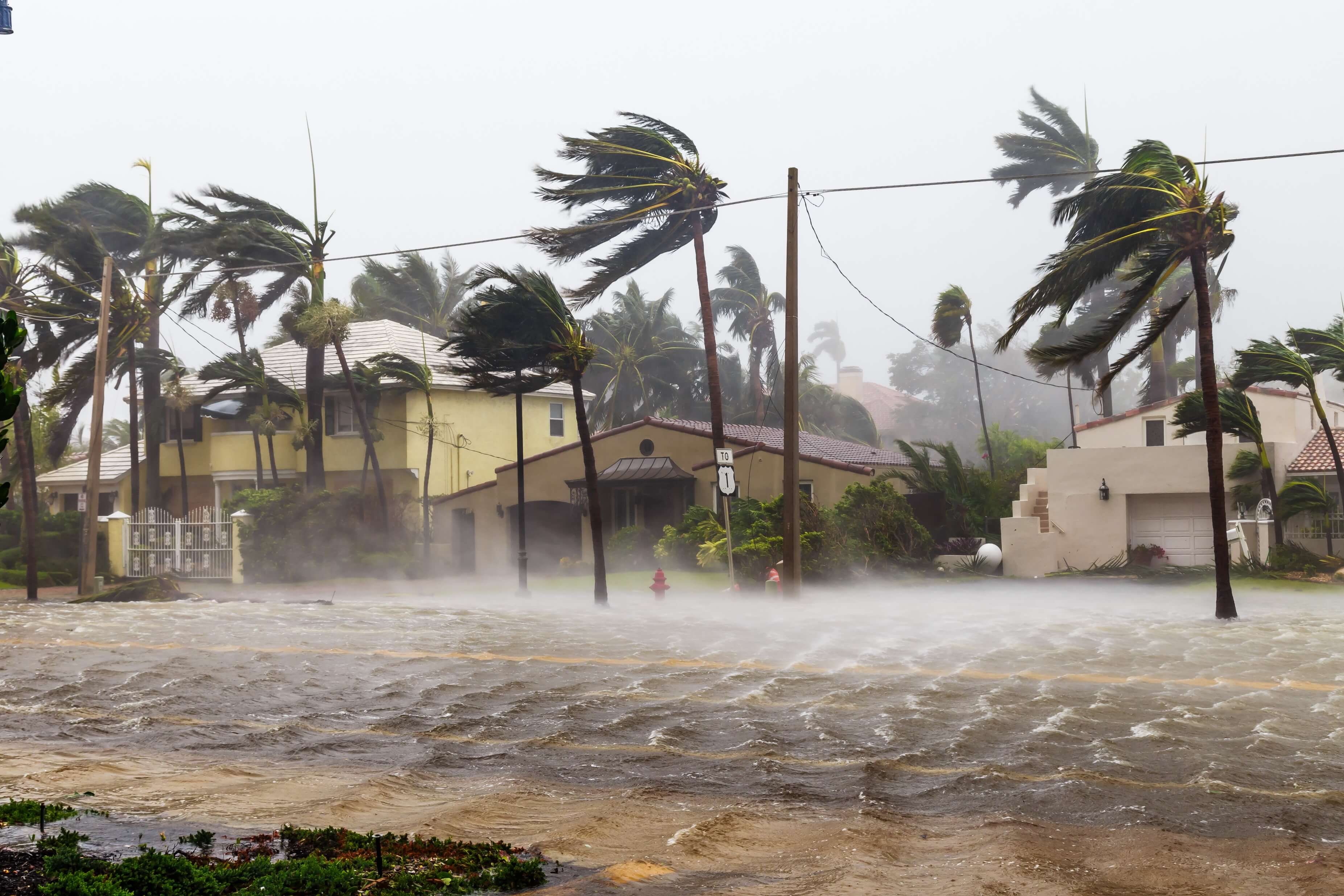 Hurricane flooding in coastal neighborhood with strong winds bending palm trees, storm surge covering streets, and homes affected by severe tropical storm weather.