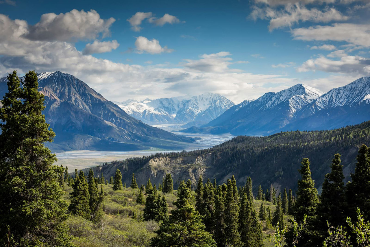 Mountains and forest